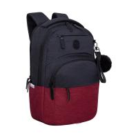 Рюкзак GRIZZLY RD-341-2 черный-красный, 27,5х43х16