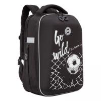 Школьный рюкзак GRIZZLY Rap-291-3 черный, 27х39х17