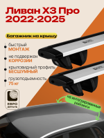 Багажник на крышу ЕвроДеталь Compact для Ливан Х3 Про 2022-2025, крыловидные дуги 1.35м, арт:ET.1827