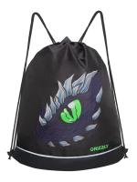 Мешок для обуви GRIZZLY OM-51-112, черный - фиолетовый, 38х50х11