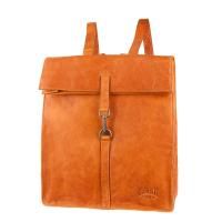 Сумка-рюкзак Klondike DIGGER «Mara» 13л оранжевый 32,5x36,5x11 см, арт:KD1070-04 Сумка-рюкзак Klondike DIGGER «Mara» 13л оранжевый 32,5x36,5x11 см, арт:KD1070-04