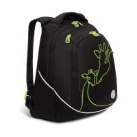 Рюкзак GRIZZLY RD-246-1 черный, 31х42х20