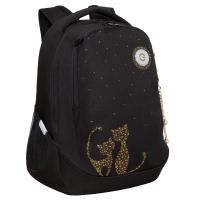 Рюкзак GRIZZLY RD-440-4 черный-золото, 29х40х20 Рюкзак GRIZZLY RD-440-4 черный-золото, 29х40х20